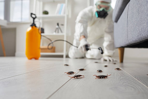 Post-Treatment Bed Bug Interceptor Monitoring in Venetian Village