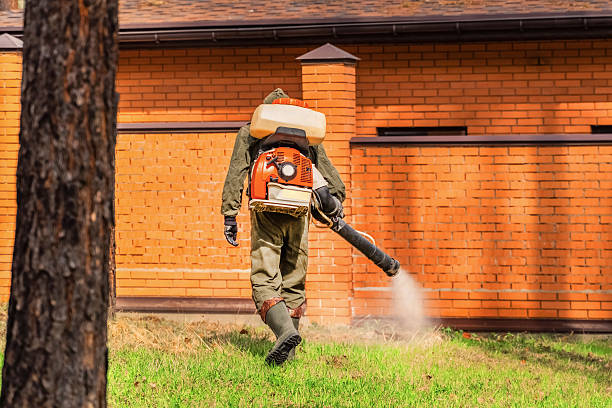 Bed Bug Clearance Verification and Documentation in Venetian Village